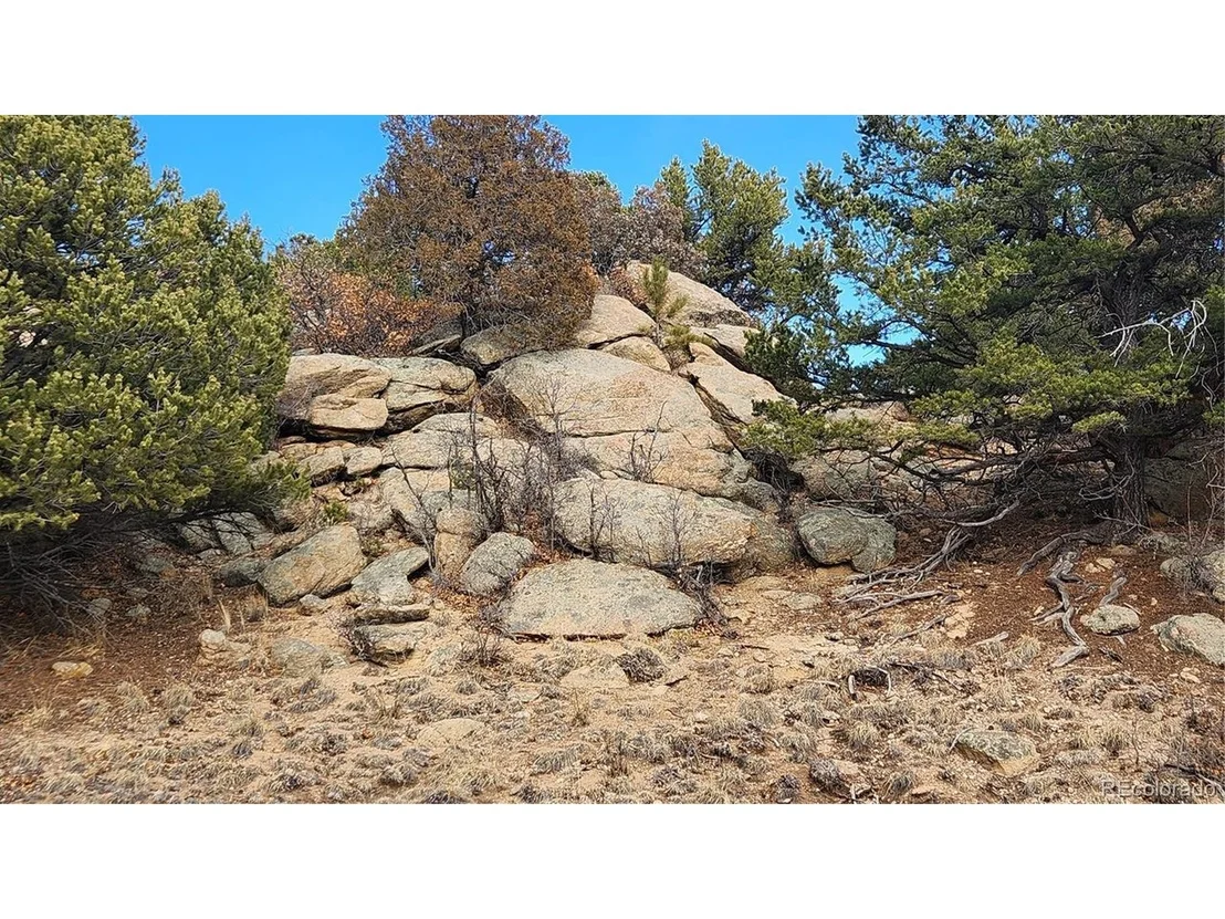 Photo of 47 White Cloud Dr