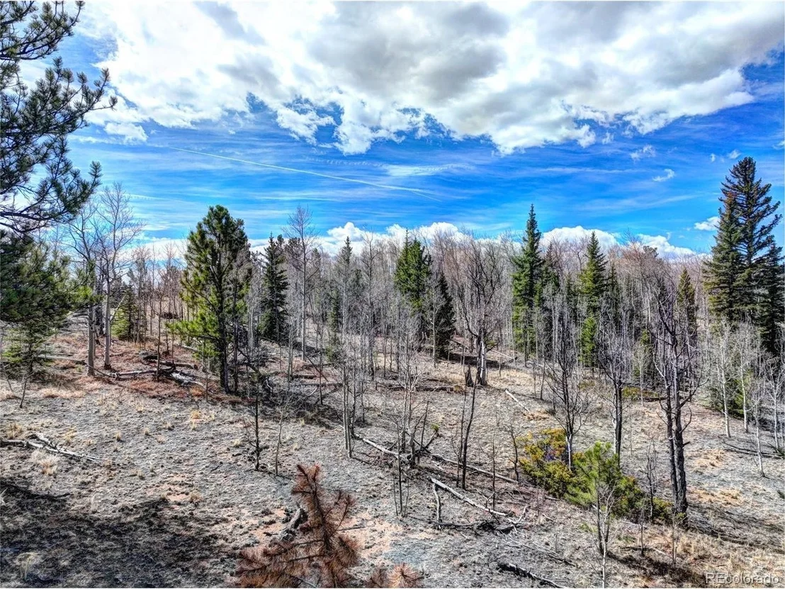 Photo of 101 Patch Ct