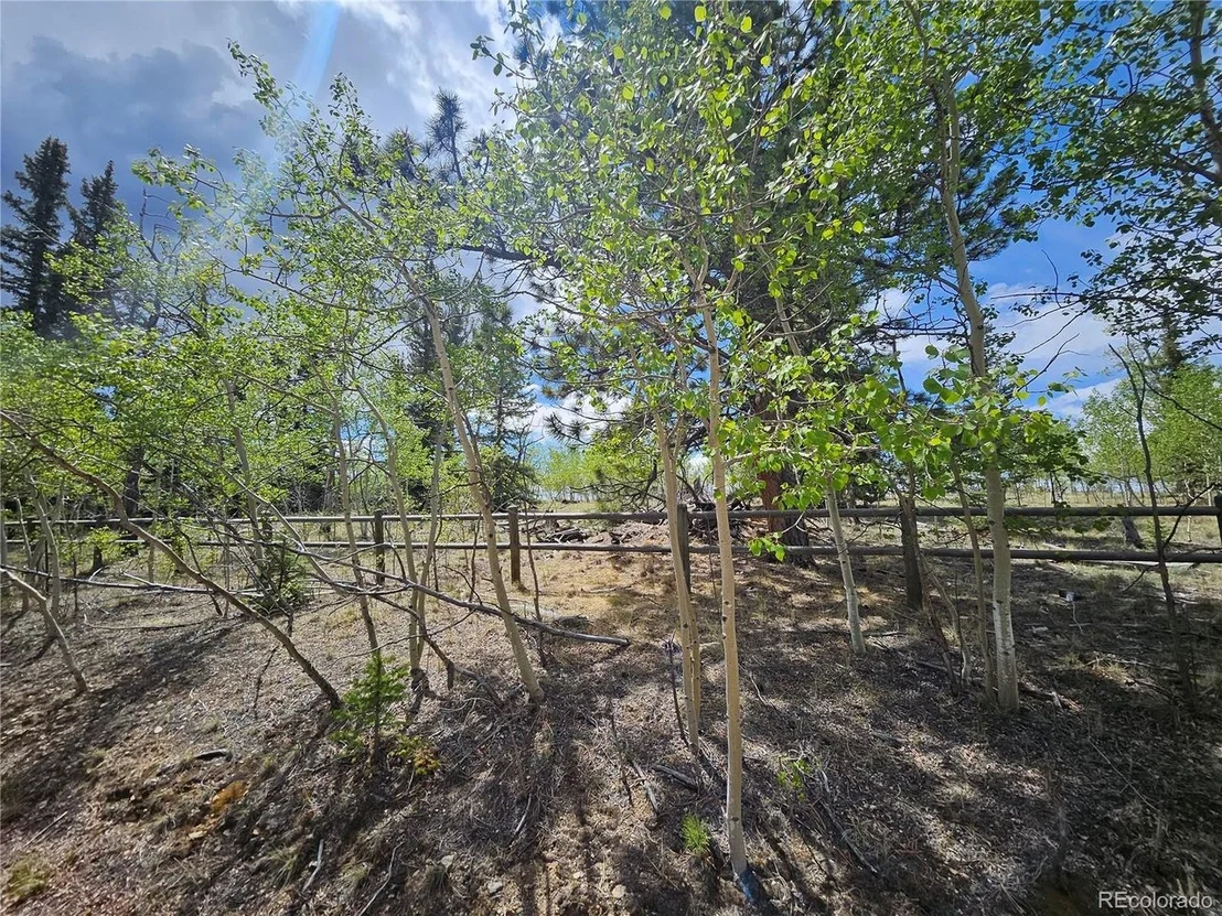 Photo of 412 Smith And Wesson Rd