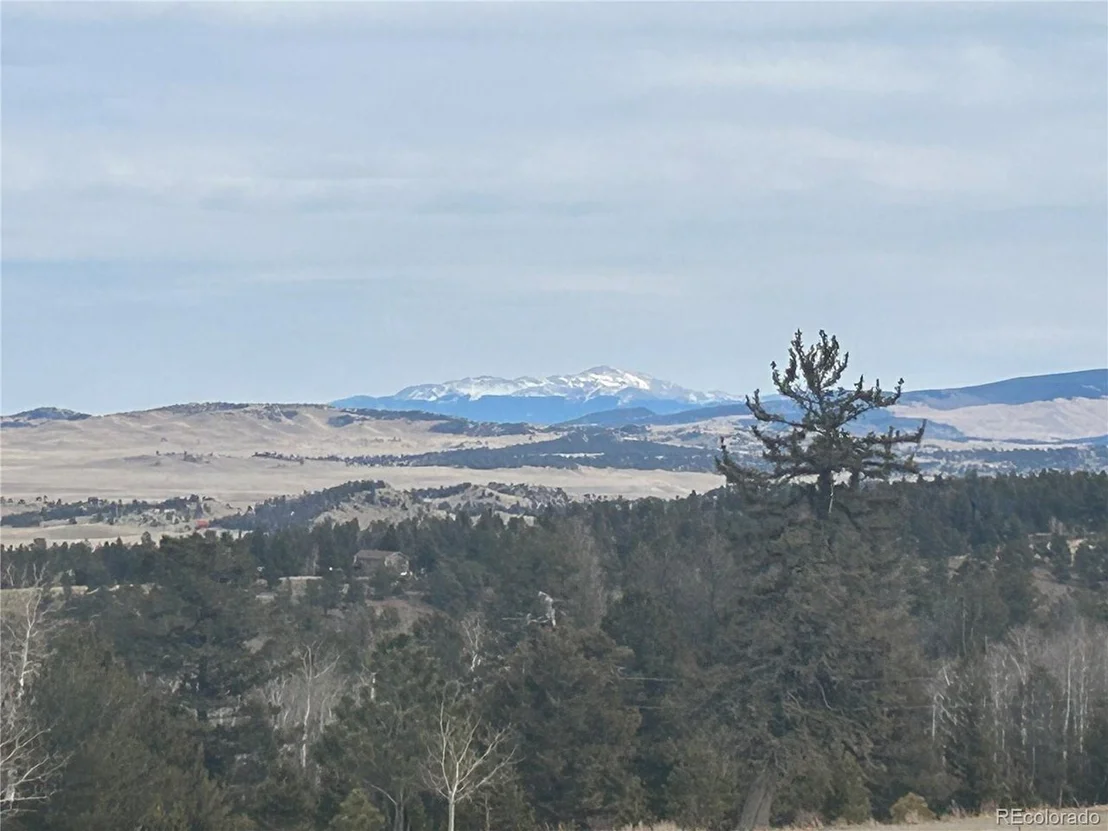 Photo of 1421 Pitchfork Rd