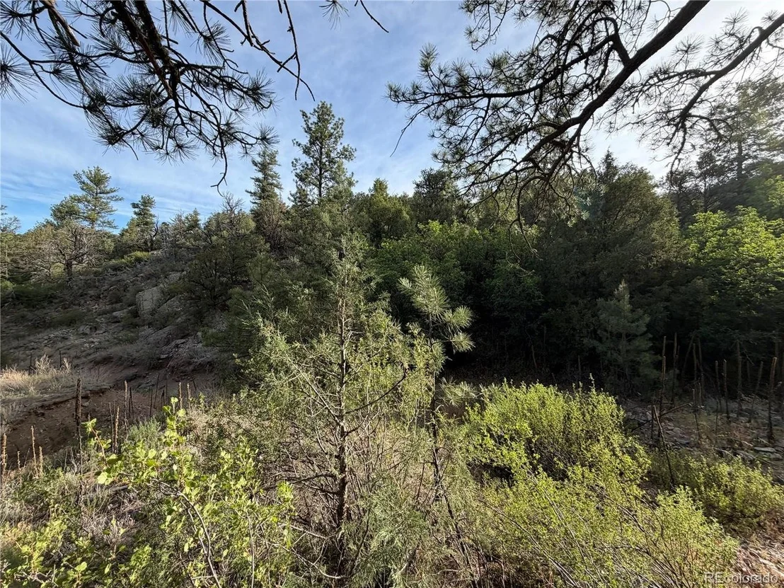 Photo of 594 Maurice Dr