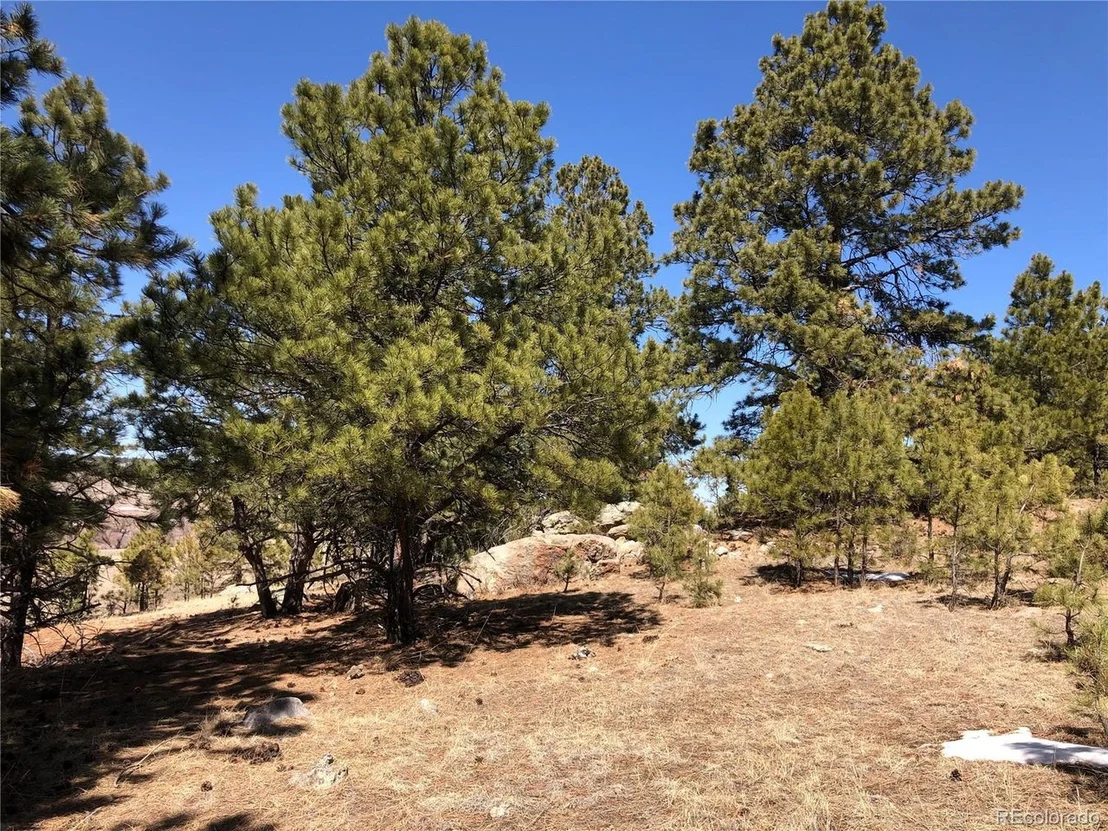 Photo of 19355 Elbert Rd