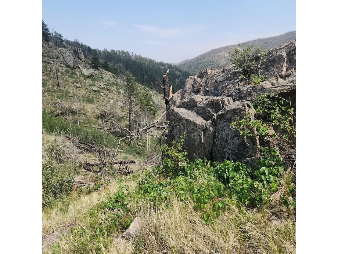 Photo of 693 Cougar Dr