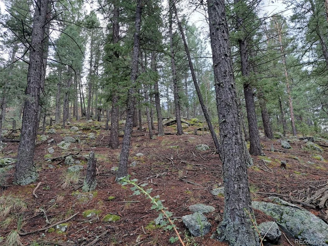 Photo of 360 Hi Meadow Dr