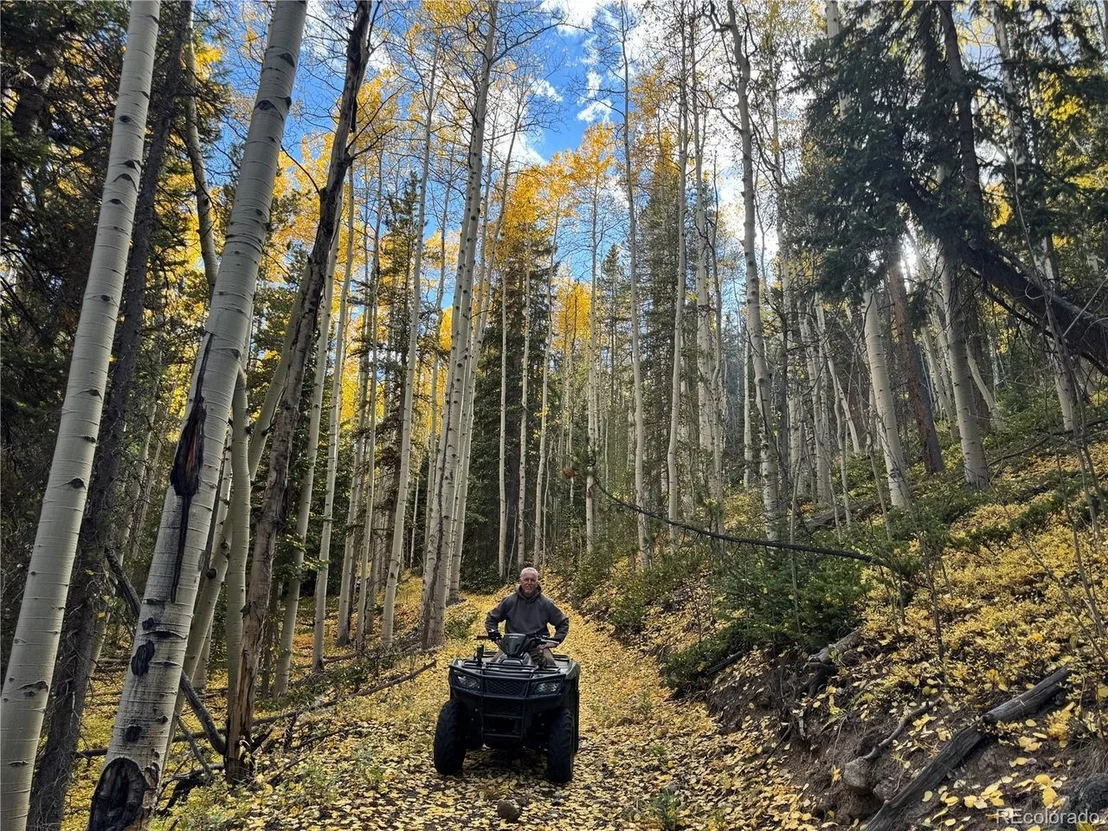 Photo of 1430 Lower Travis Gulch Rd