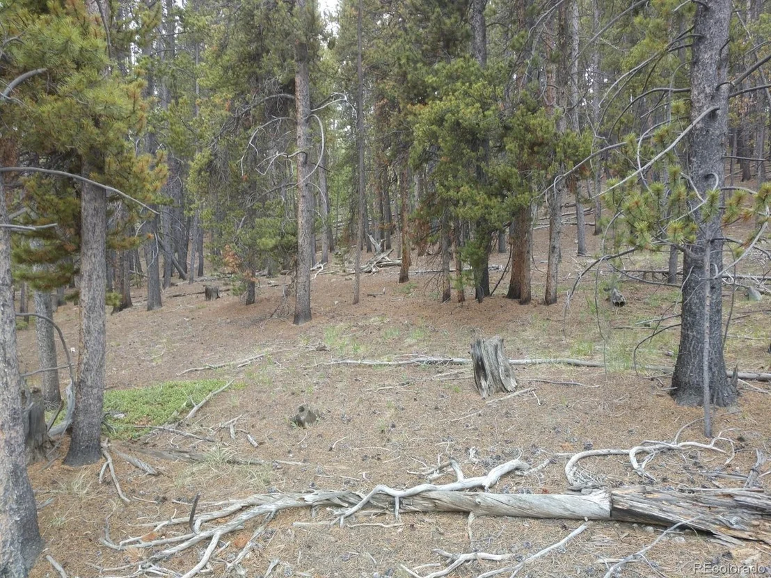 Photo of 317 Ski Doo Rd