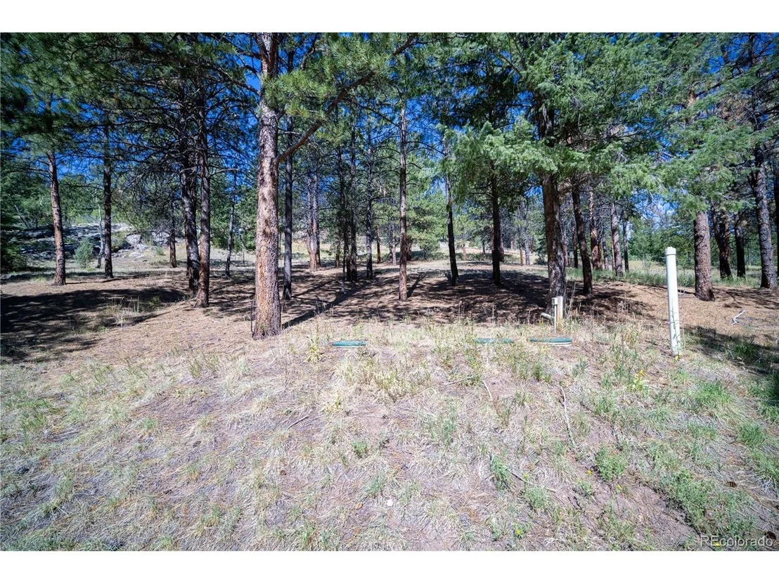 Photo of 14850 Quandary Peak Rd