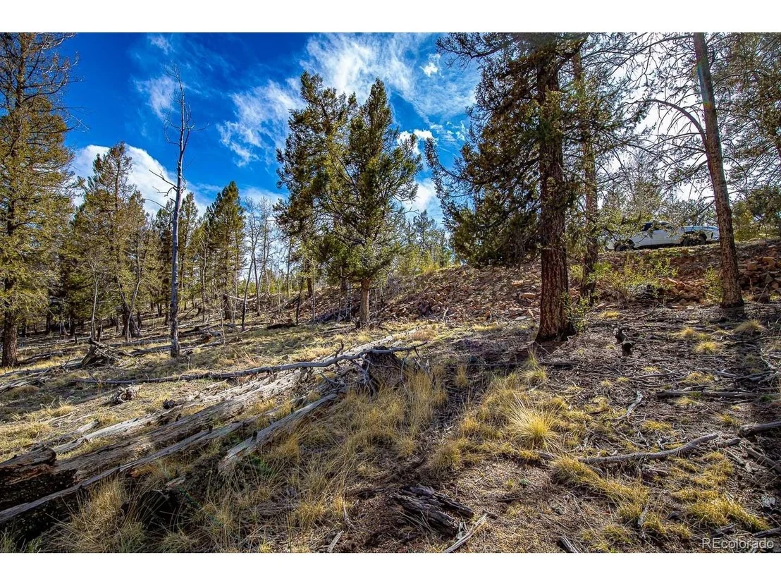 Photo of 5302 Middle Fork Vis