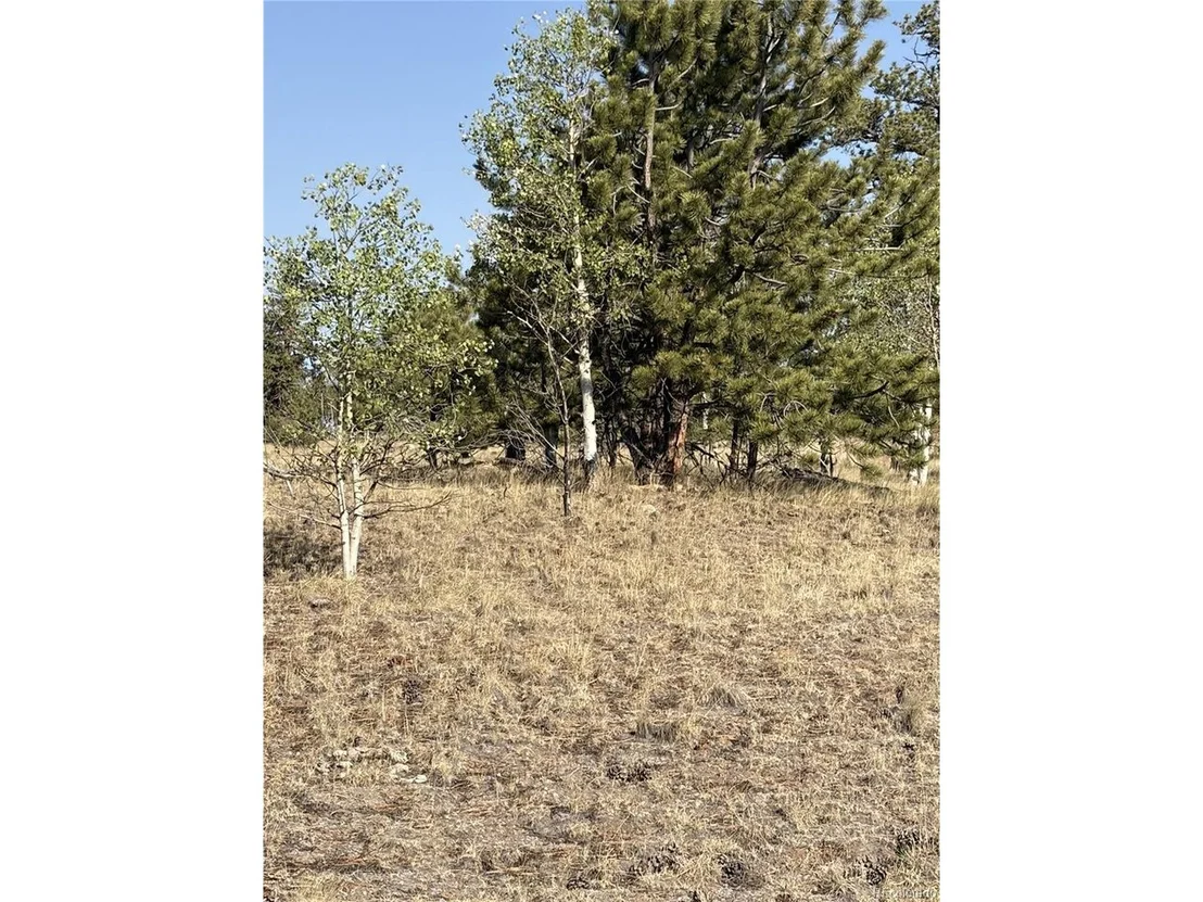 Photo of 3031 Mcdowell Dr