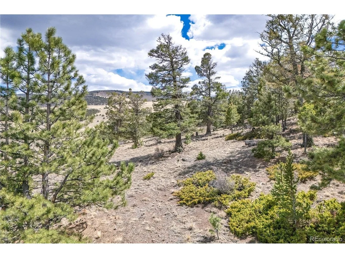 Photo of 2181 Cr-116