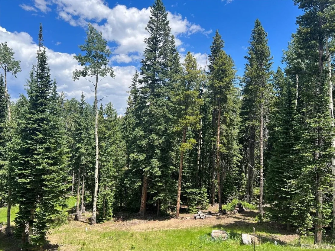 Photo of 225 Bear Claw Ln