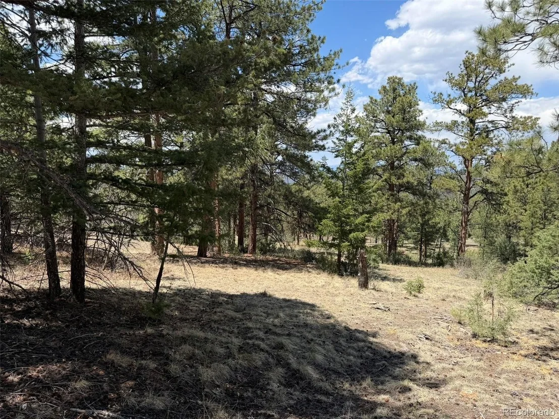 Photo of 477 Bear Peak Rd