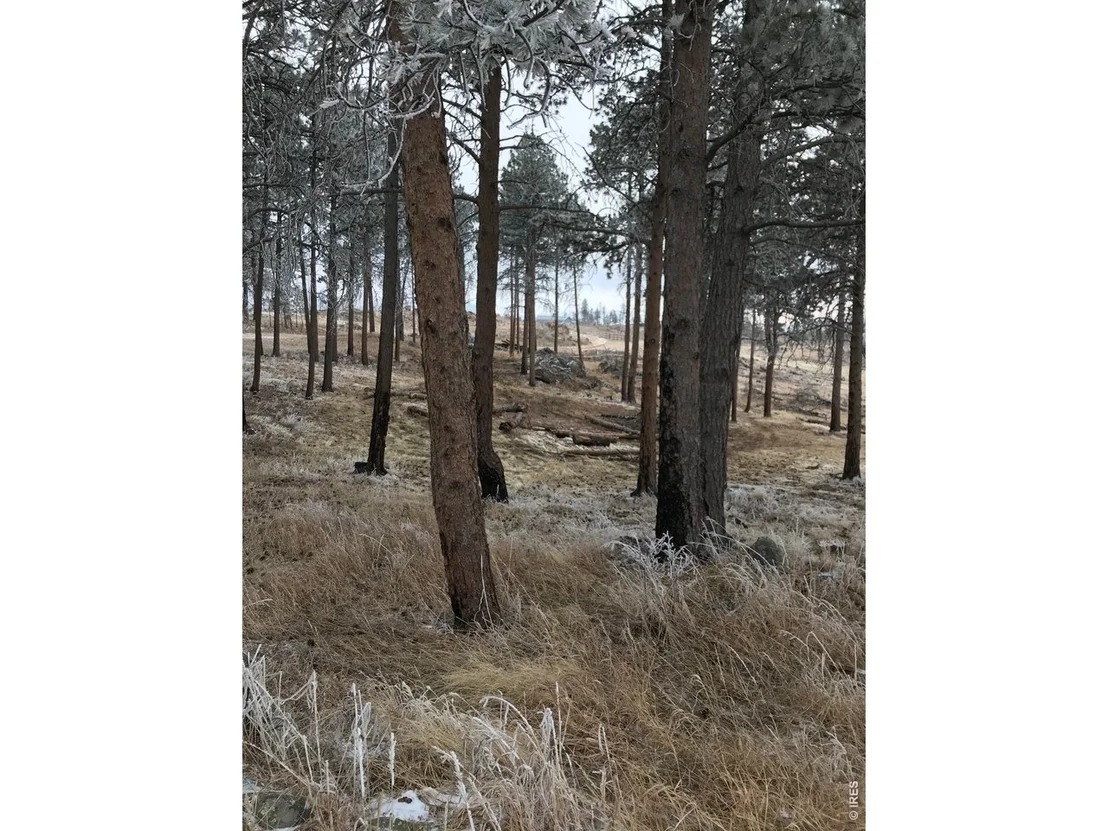 Photo of 3434 Davis Ranch Rd