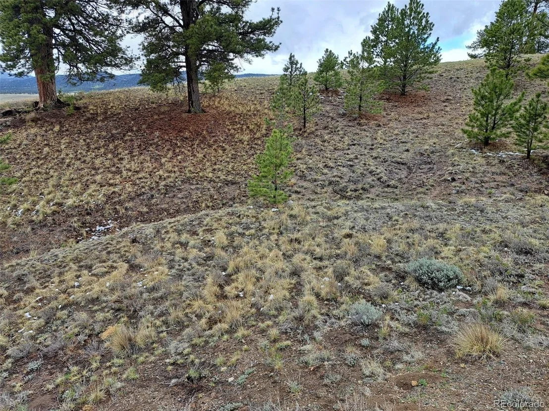 Photo of 783 Remuda