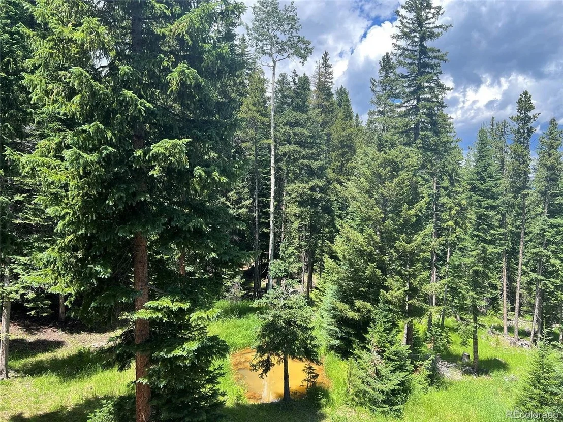 Photo of 225 Bear Claw Ln