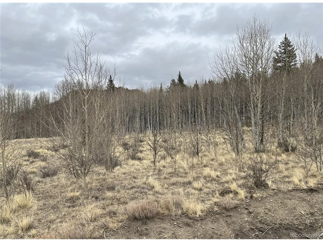 Photo of 688 Ouray Trl