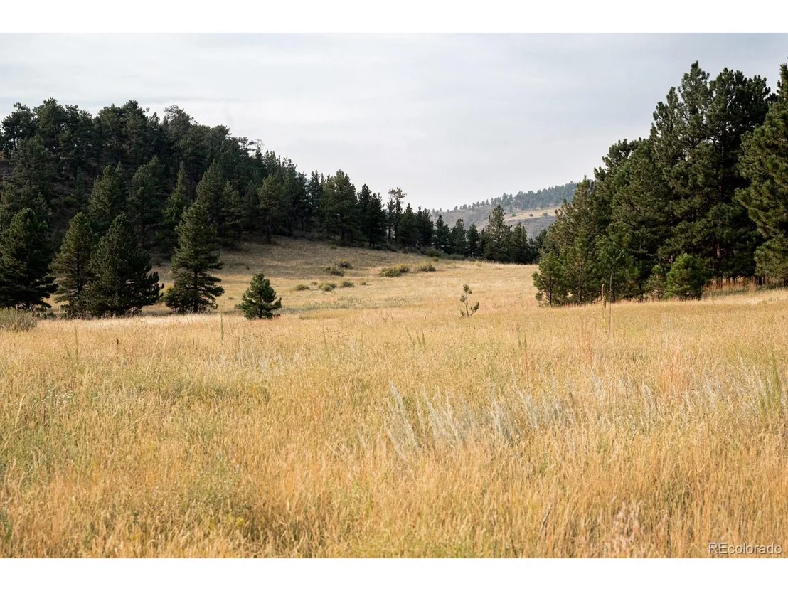 Photo of 800 Blue Mountain Trl