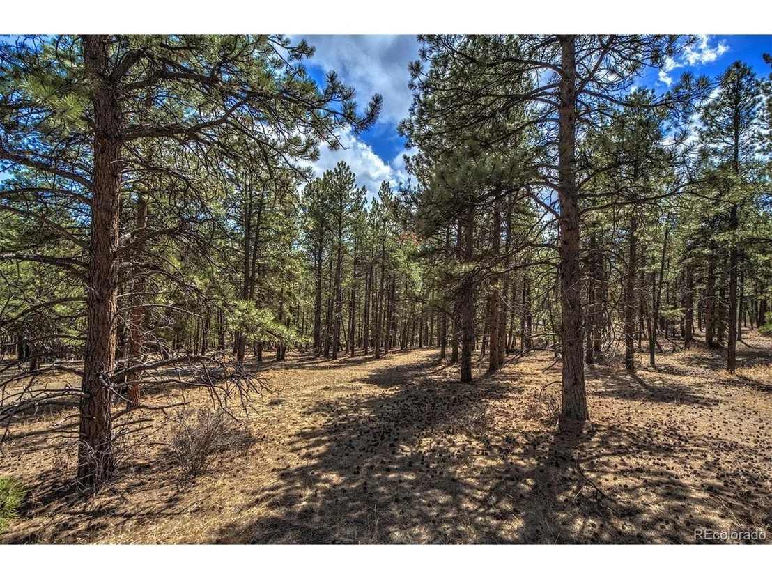 Photo of 27554 Pine Valley Dr