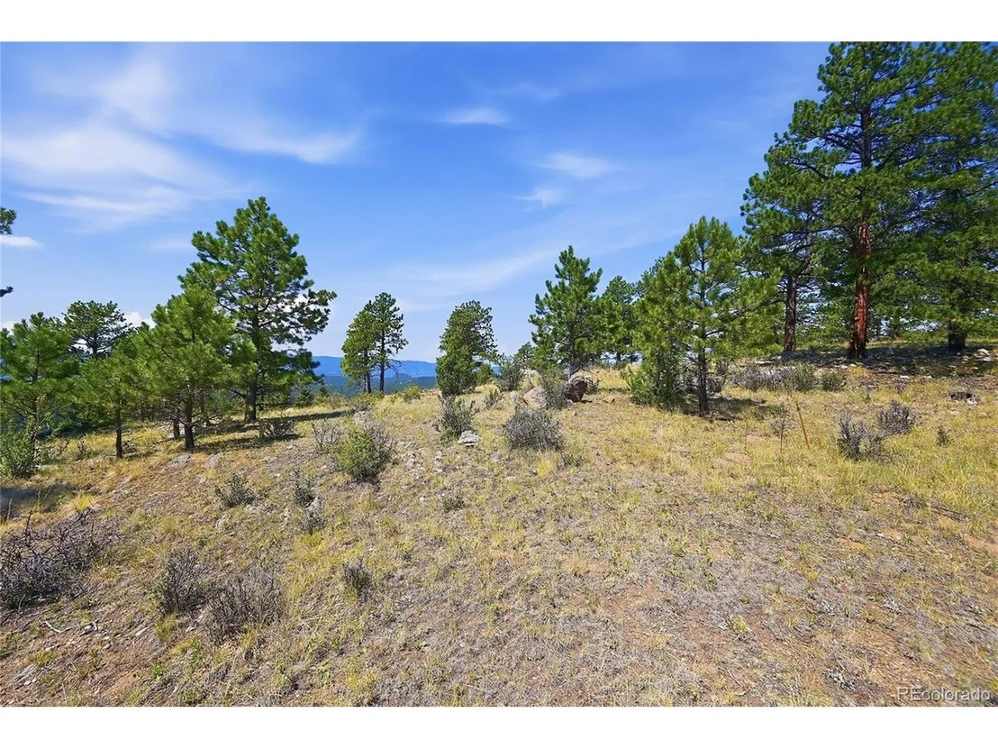 Photo of 33550 Mount Wilson Rd