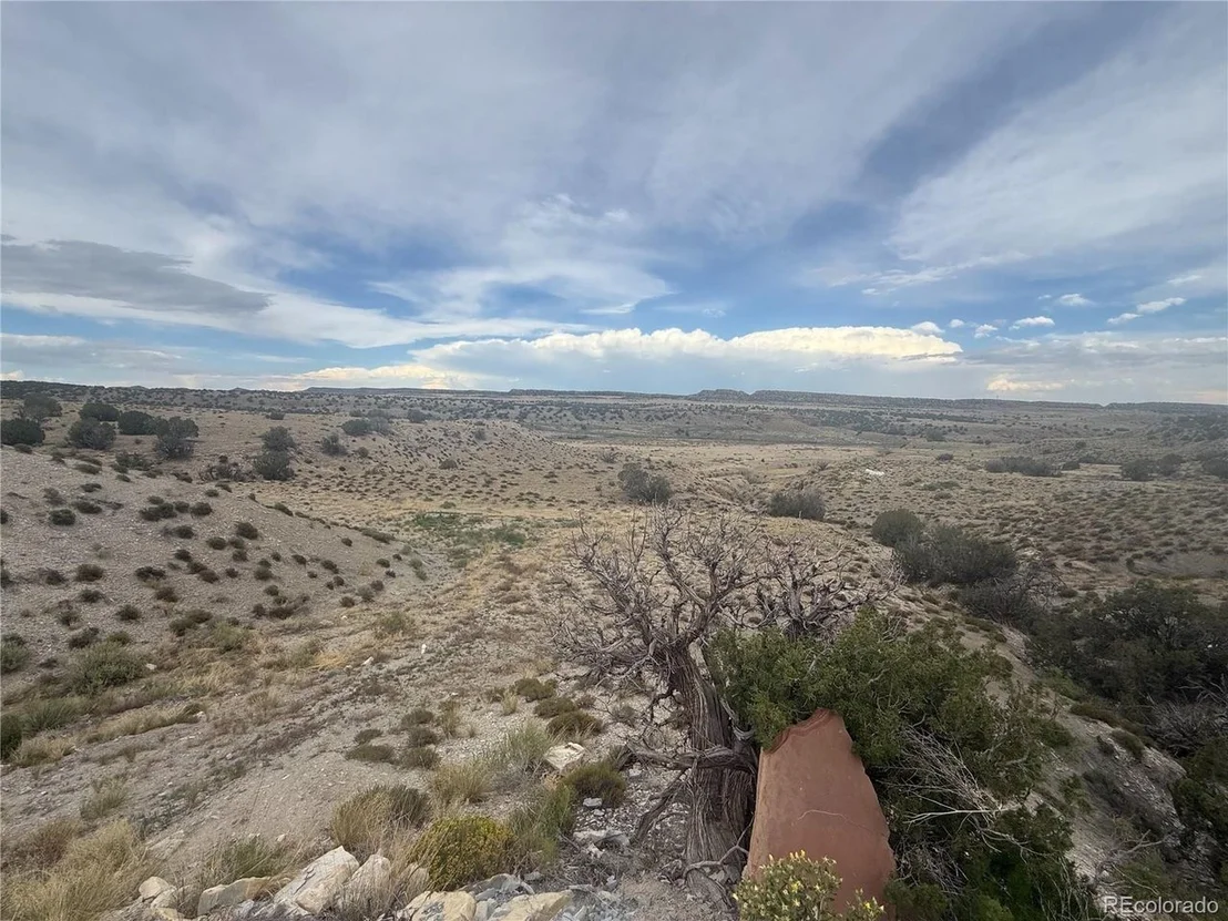 Photo of 470 Bowie Rd
