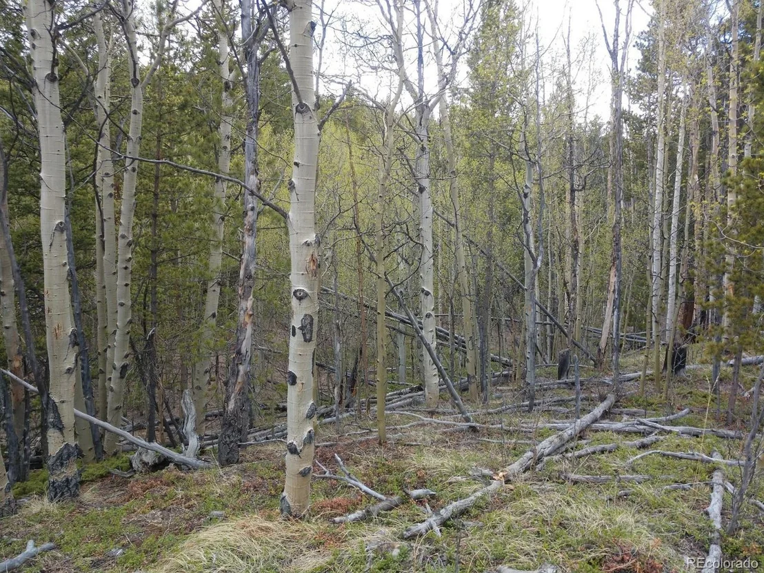 Photo of 317 Ski Doo Rd