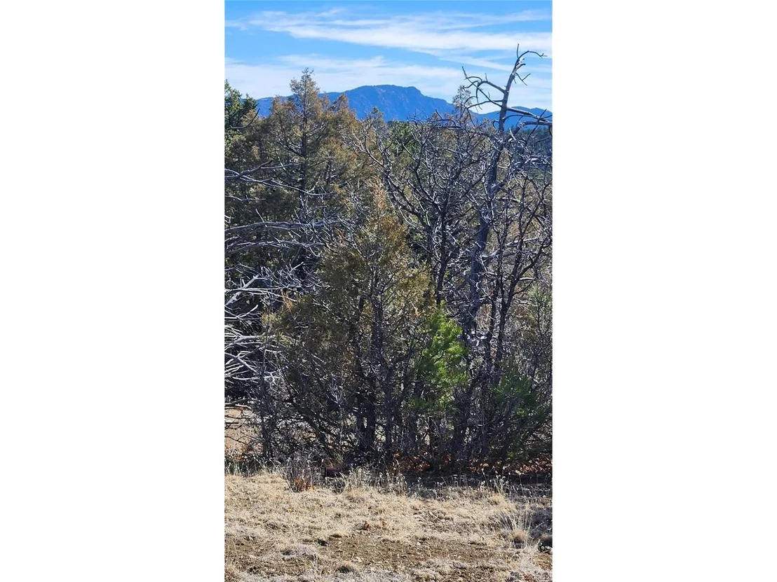 Photo of I Path