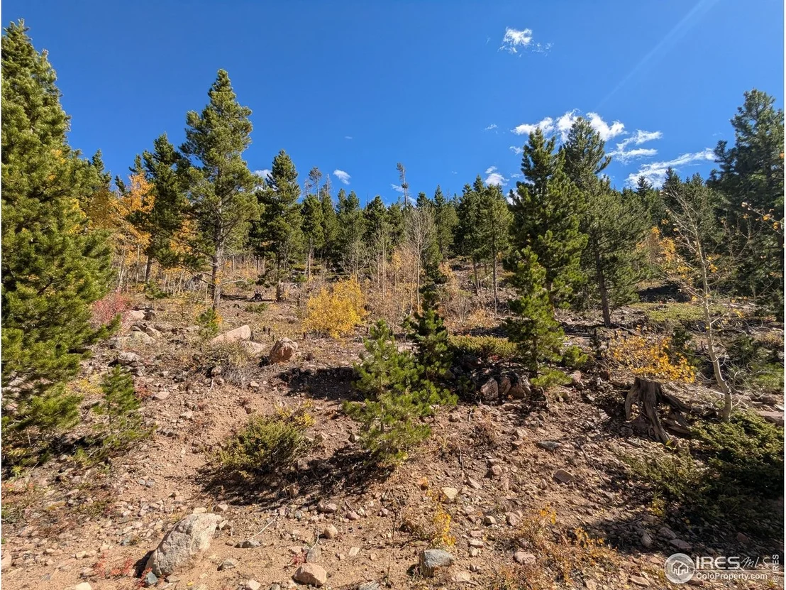 Photo of 2174 Bear Gulch Rd