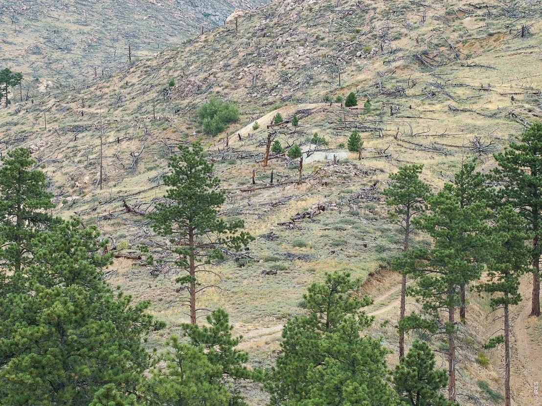Photo of 6319 Sunshine Canyon Dr