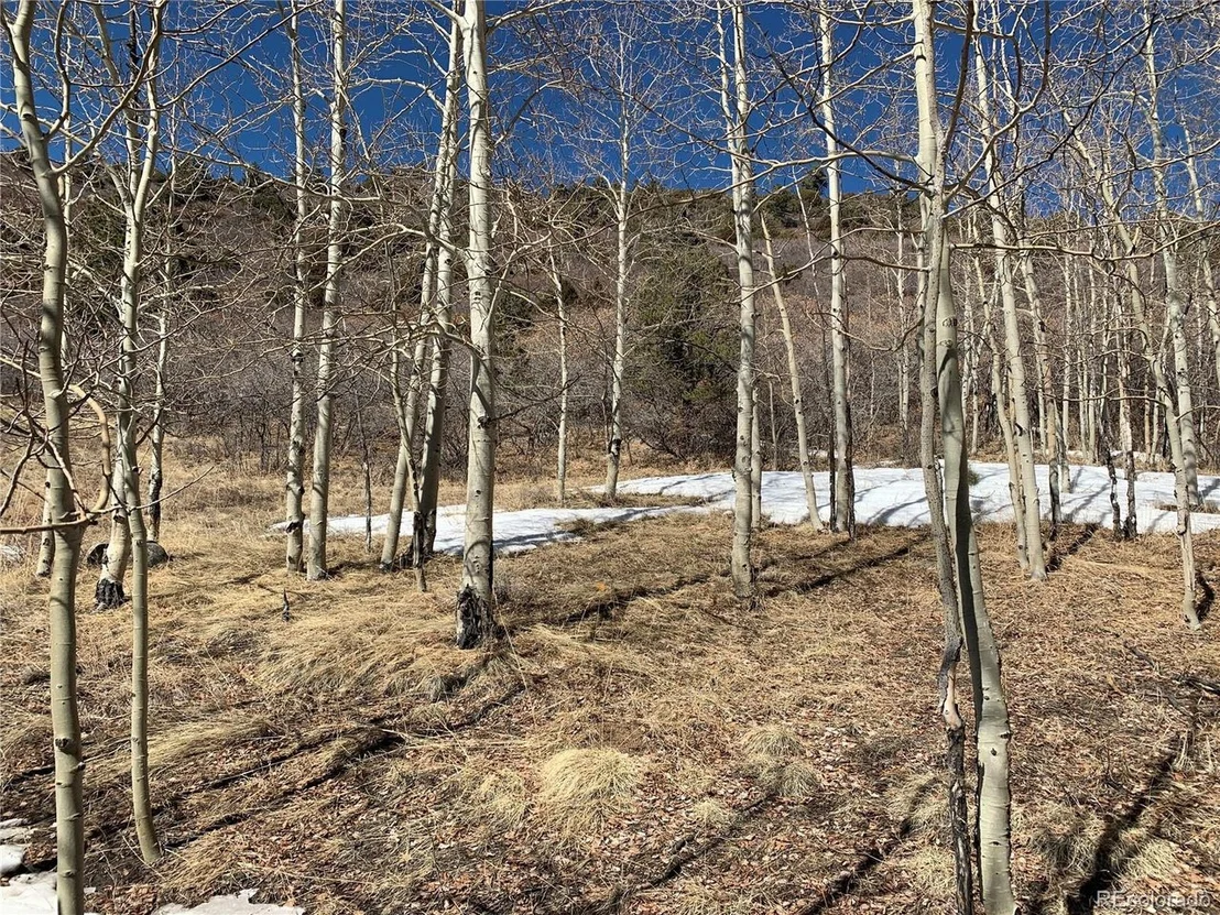 Photo of 2623 Basin Dr