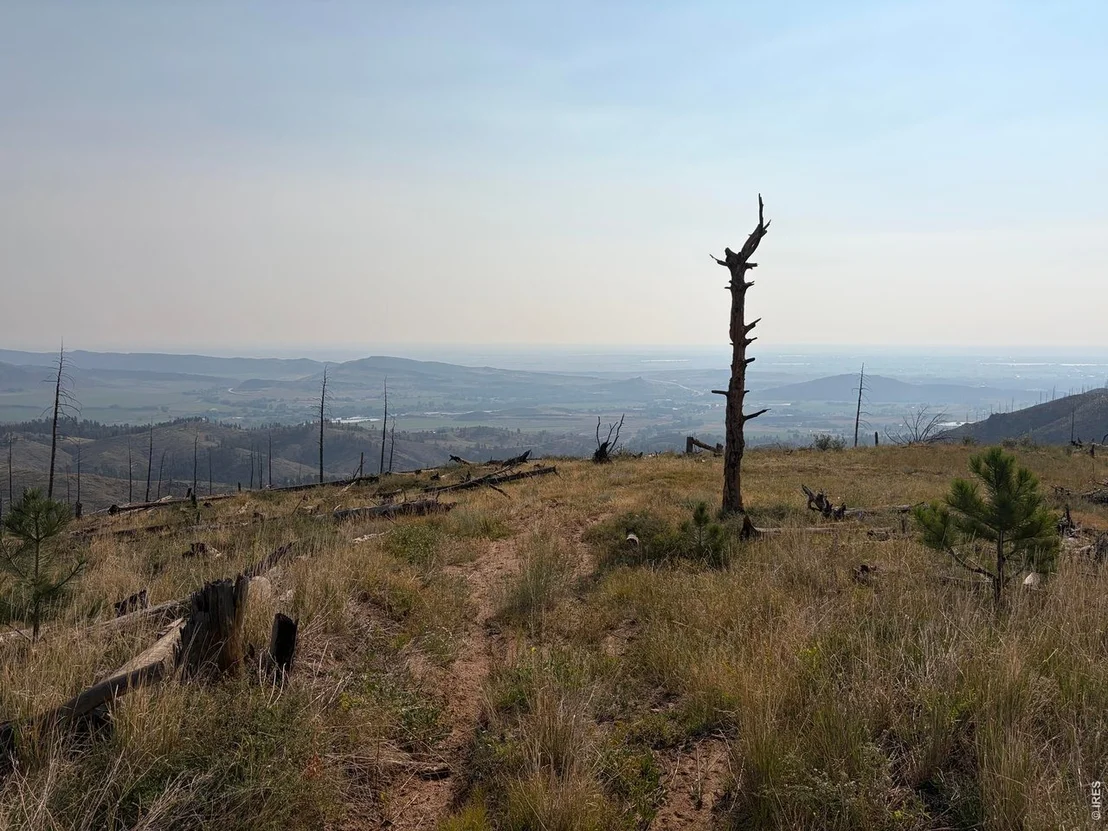 Photo of 0 Pine Acres Rd