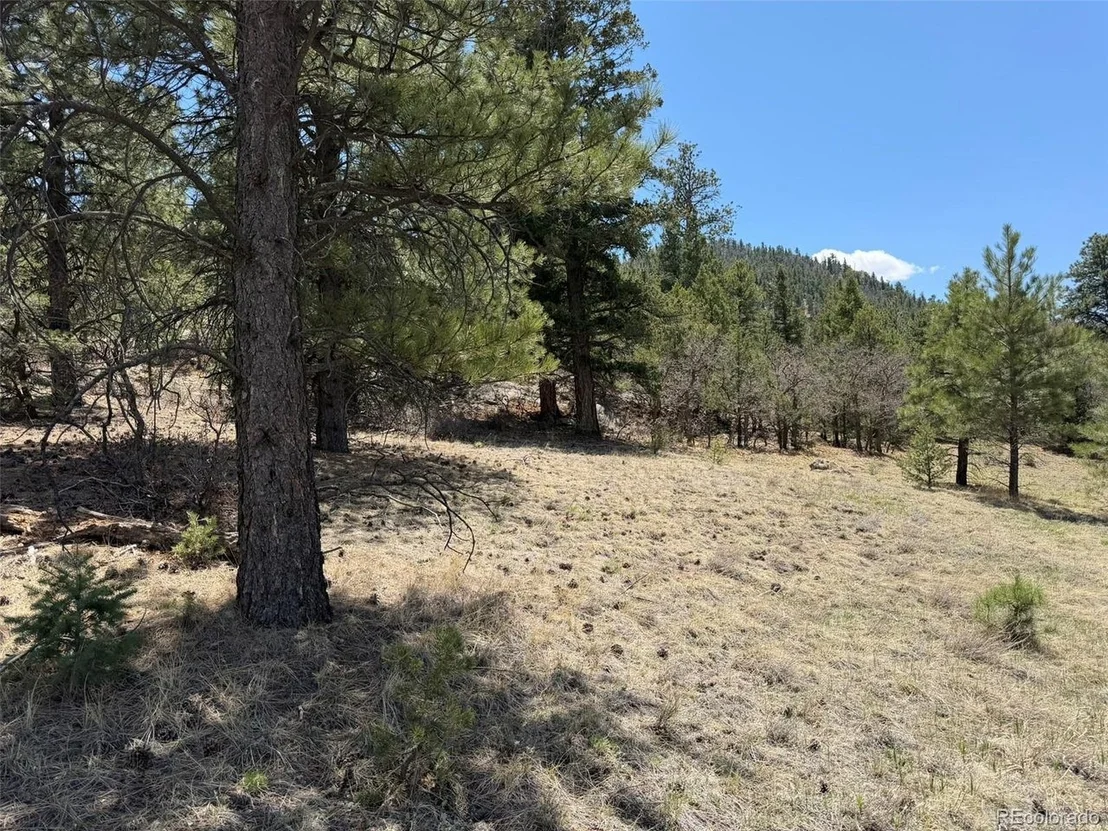 Photo of 477 Bear Peak Rd