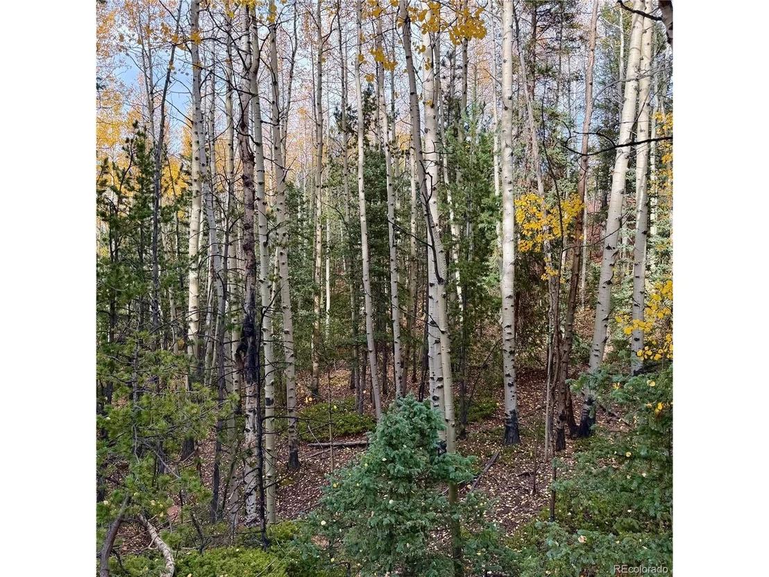 Photo of 1341 Calcite Dr