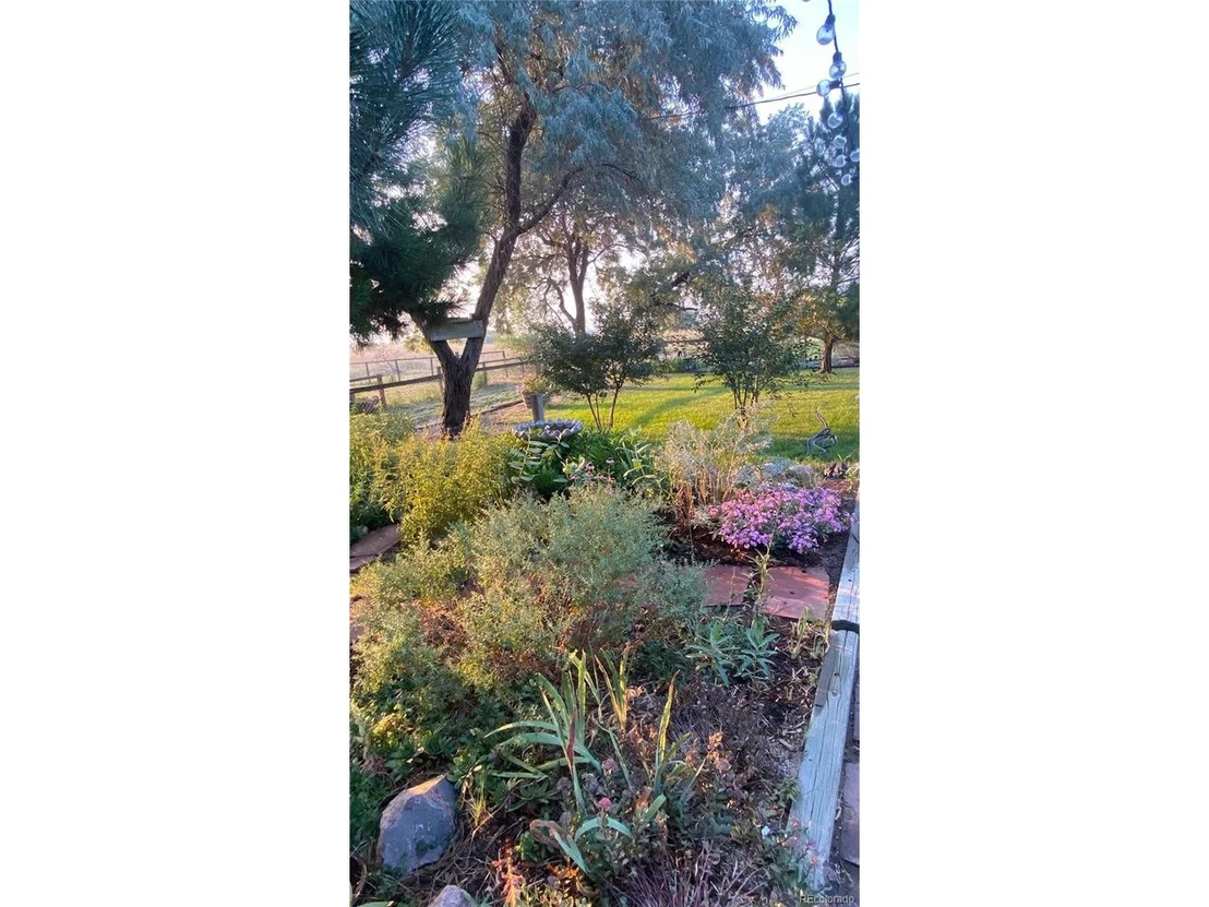 Photo of 765 Grape St