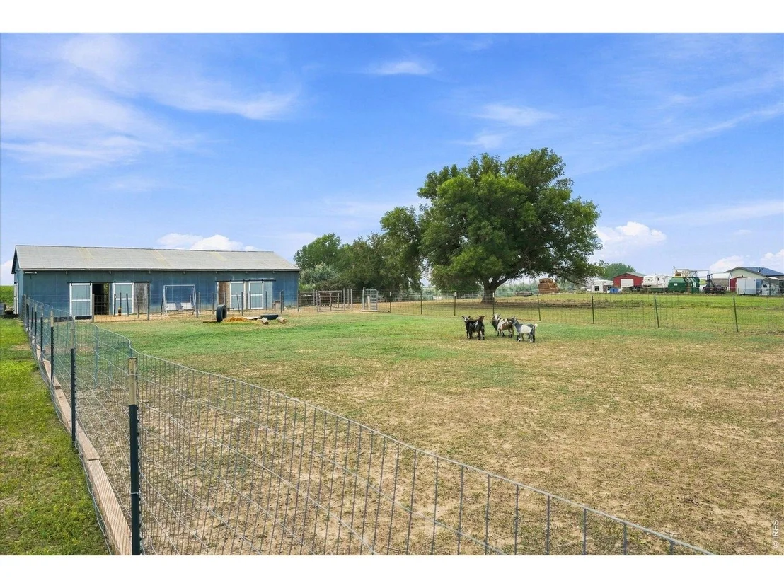Photo of 11576 County Road 52