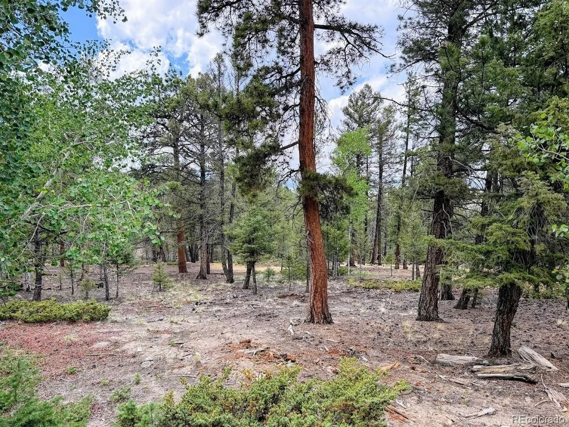 Photo of 1789 Bellows Rd