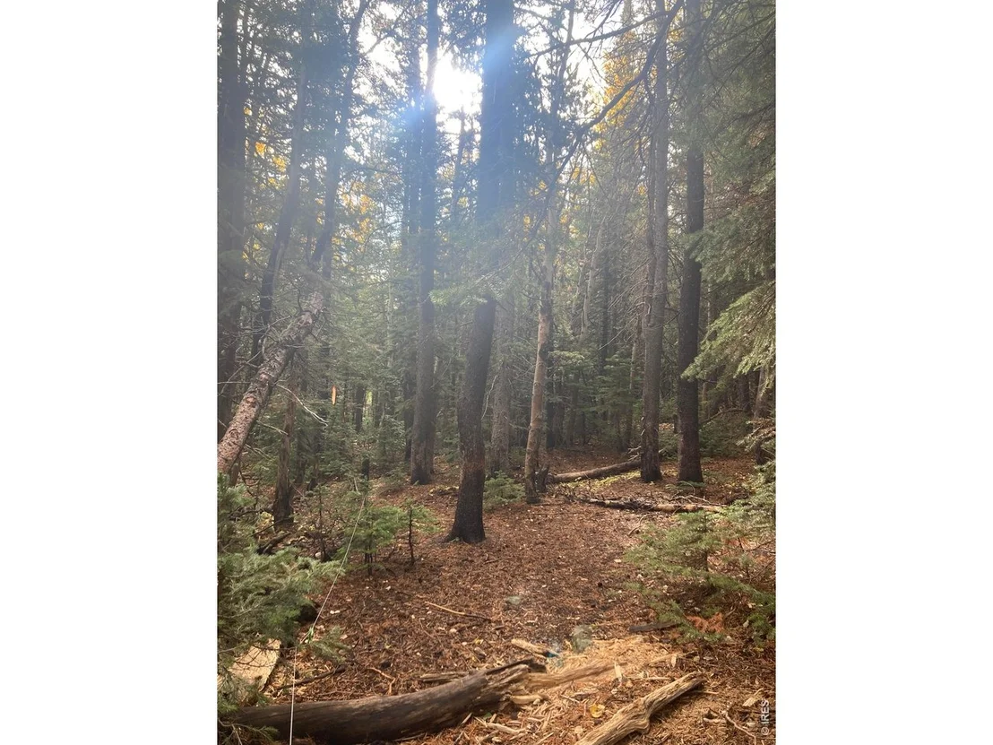 Photo of 1199 Brainard Lake Rd
