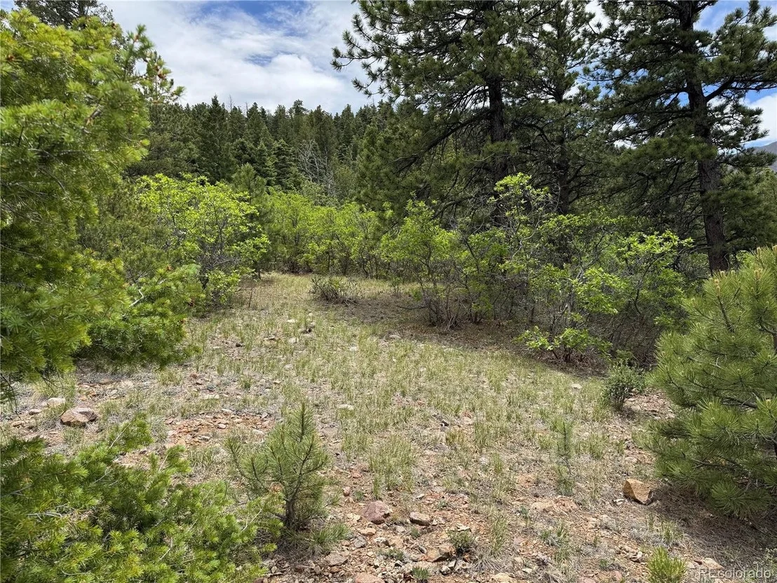 Photo of Knotty Pine Rd