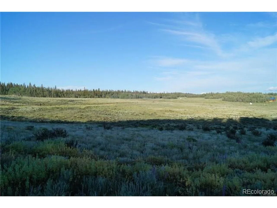 Photo of 133 Puma Ct