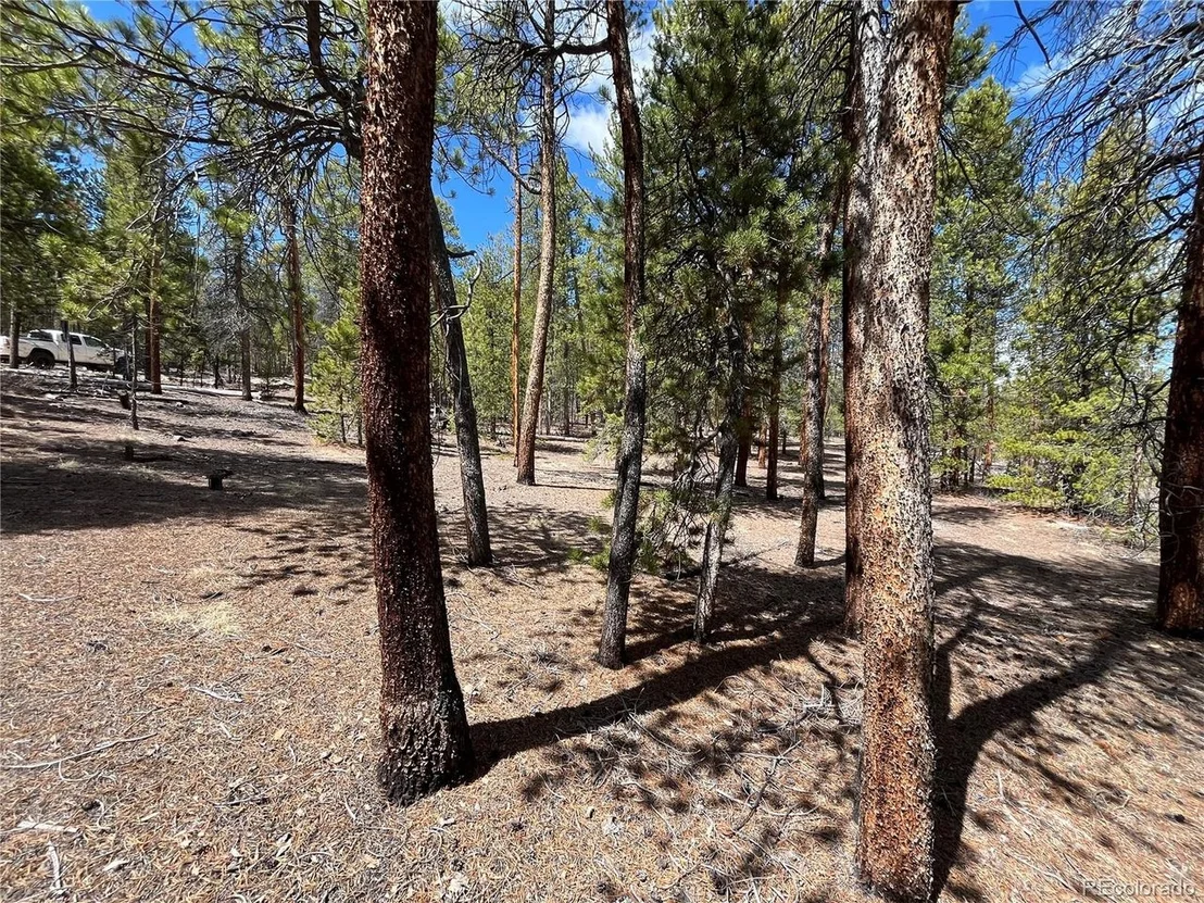 Photo of 1013 Sequoia Dr