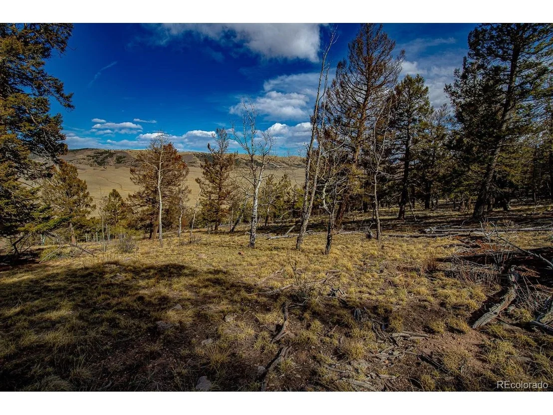Photo of 5302 Middle Fork Vis