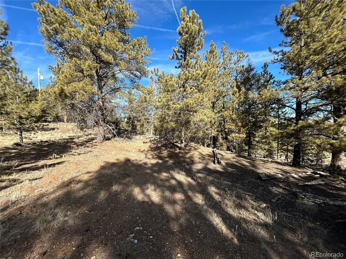 Photo of 4376 Campfire Rd
