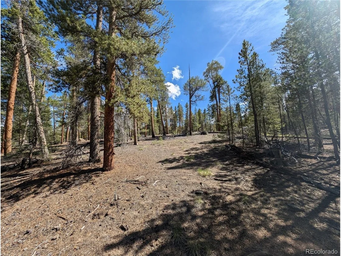Photo of 495 Birch Dr