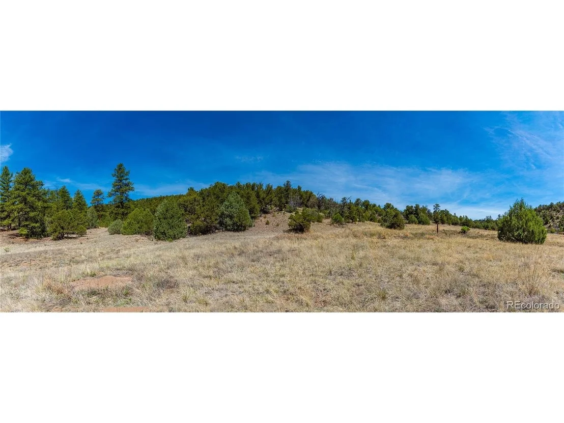 Photo of Arnold Dr