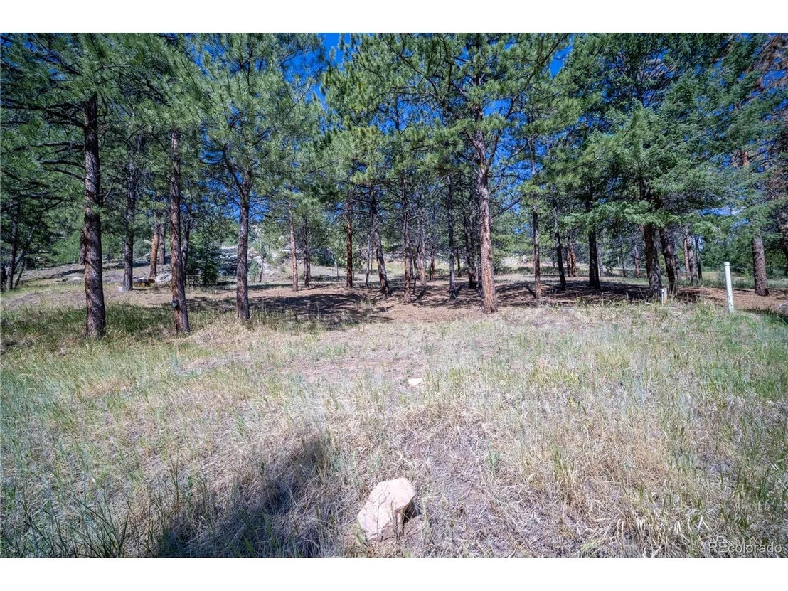 Photo of 14850 Quandary Peak Rd