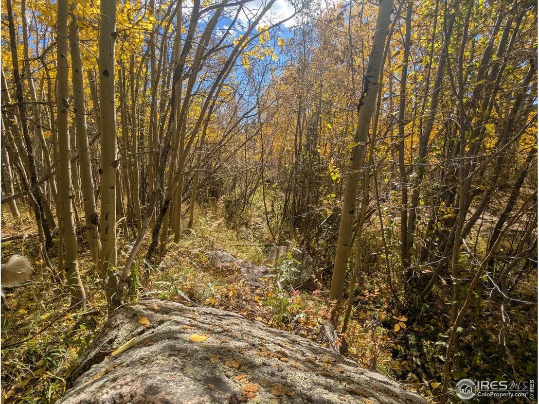 Photo of 2174 Bear Gulch Rd