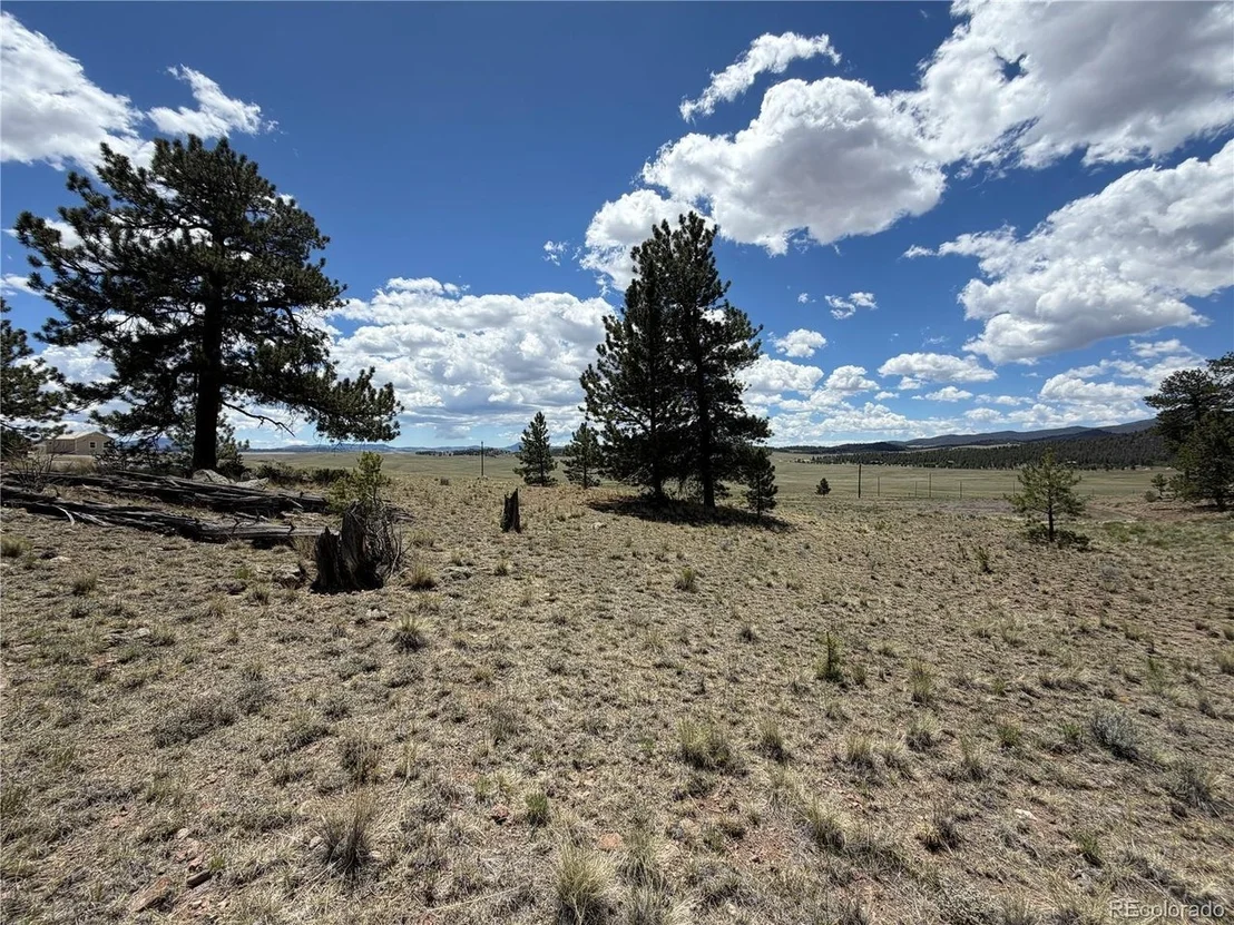 Photo of 595 Bridle Path