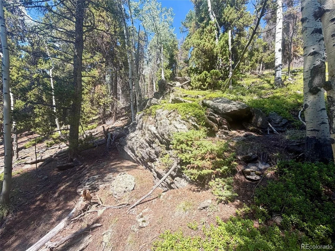 Photo of 0 Lodgepole Cir