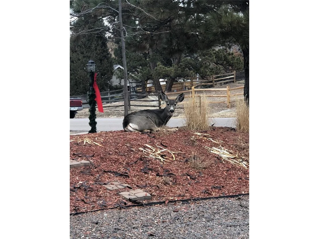 Photo of 5283 Nashua Cir