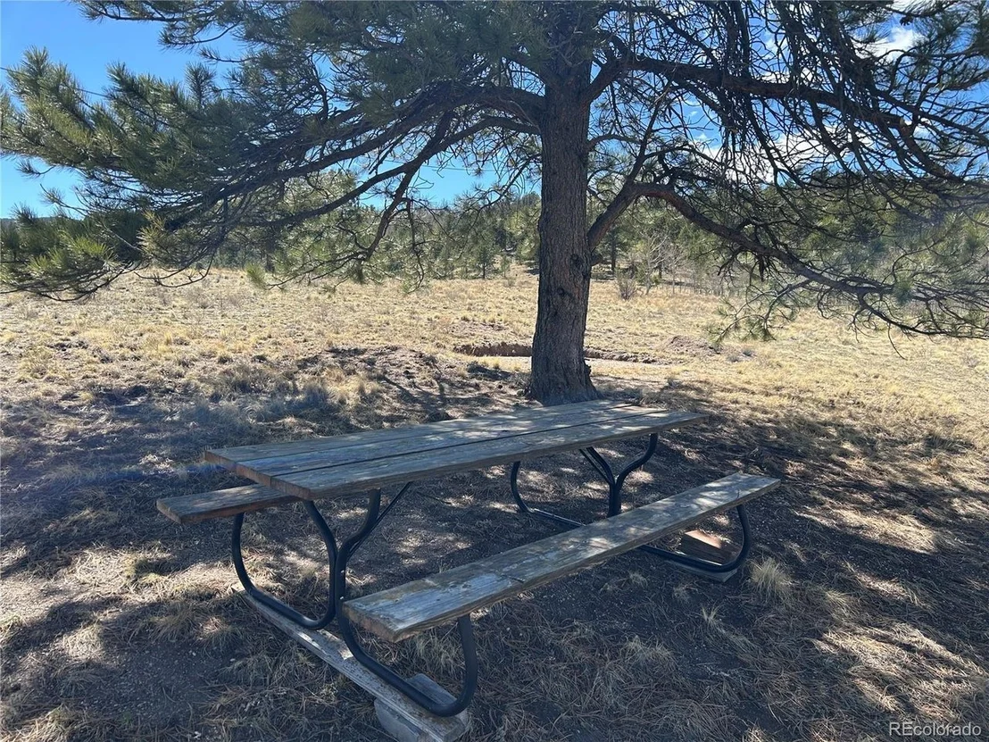 Photo of 51 Singletree Ln