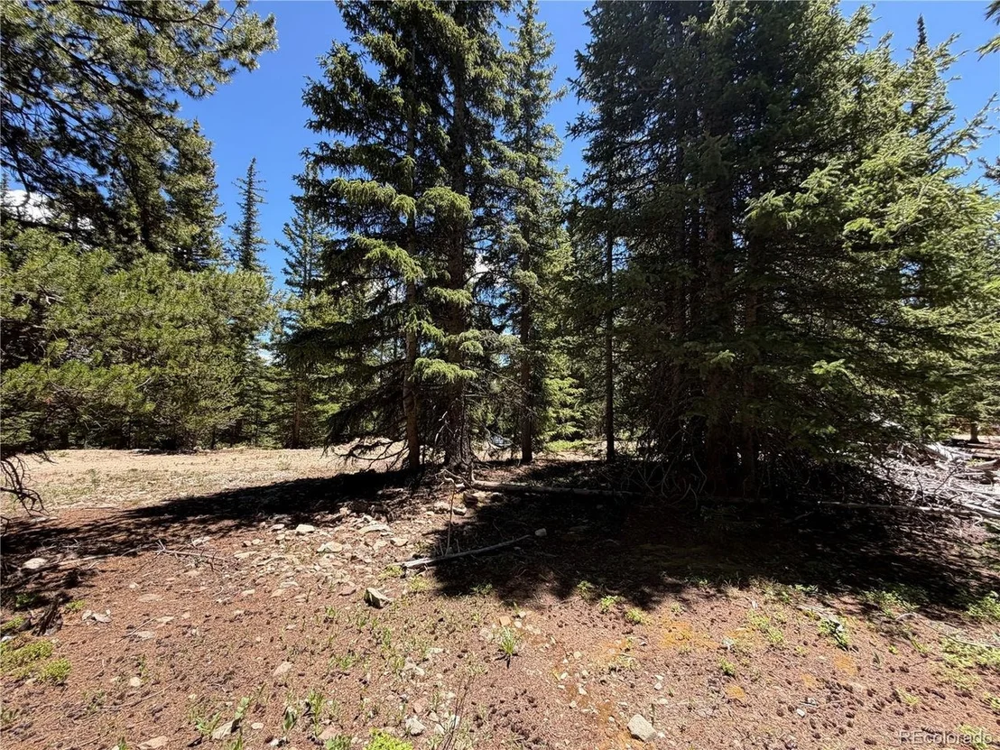 Photo of 339 Silverheels Pl